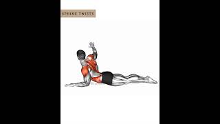 Spine mobility amp upper back pain3 [upl. by Ttocserp]