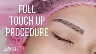 ✅ MICROBLADING with SHADING Stepby step TOUCH UP PROCEDURE Tutorial [upl. by Annayi754]