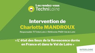 Les RDV TechniLoire 2024  Intervention de Charlotte MANDROUX [upl. by Linders778]