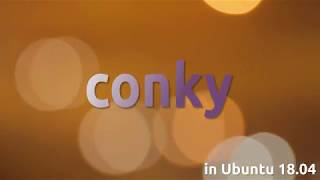 How to install Conky Manager in Ubuntu 1804 [upl. by Trygve]