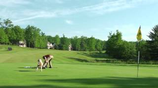 Woodloch Golf [upl. by Ormsby]