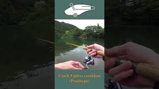 Prototype 1inch lipless crankbait lure fishing handmade [upl. by Ettevi492]