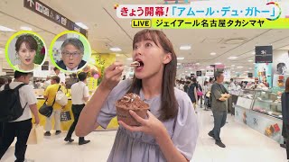 クラブハリエやメゾンカカオら集結…夏のスイーツの祭典「アムール・デュ・ガトー」 チョコレートの氷を“そのまま削った”かき氷も [upl. by Veron]