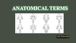 Directional Anatomical Terms [upl. by Apul]