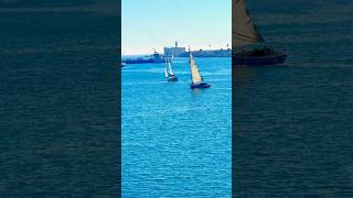 Playing with Sailboats ⛵️ in Port of Los Angeles sailboat shiplife seaman [upl. by Ydnahs]