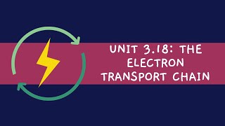 Unit 318 The Electron Transport Chain [upl. by Yllak]