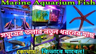 Marine Aquarium Fish Shop Chandannagar  Marine Aquarium Fish Price  Salt Water Aquarium Fish [upl. by Nataline]