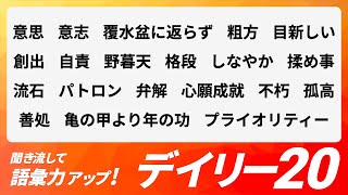 【デイリー語彙力 vol132】聞き流して語彙力アップ！【日本語・カタカナ語】 [upl. by Atwahs]