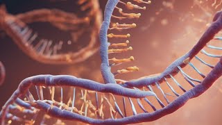 Restriction Enzyme Cloning Tutorial  StepbyStep Guide to Molecular Cloning Simulation [upl. by Brey]