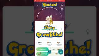 Shiny Hisuian Growlithe becomes a Noble Pokemon pokemoncollector legendarceus pokemongo hisui [upl. by Suriaj430]