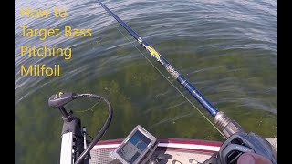 PitchingFlipping Milfoil Guide [upl. by Dee]