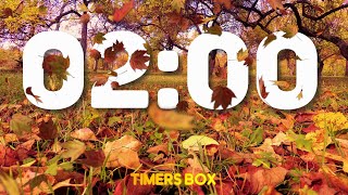 Autumn 2 Minute Fall Timer with Calming Music 🍂 and Alarm at End [upl. by Justinn791]