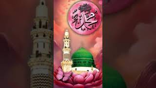 Islamic short video allahhuakbarallahhuakbar [upl. by Ragg]