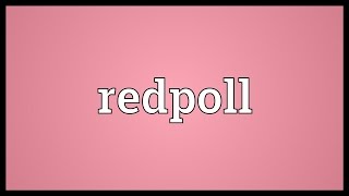 Redpoll Meaning [upl. by Bena991]