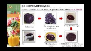 HOMEBASED EXPERIMENT 6 pH MEASUREMENT AND ITS APPLICATION [upl. by Ranit84]