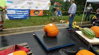 2018 Michigan State Record field pumpkin grown with Marks Mix [upl. by Latyrc]