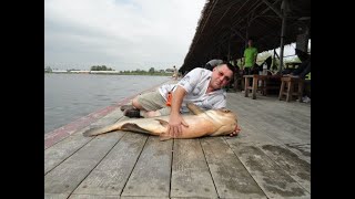 Bungsamran Fishing Park 2019 Тайланд Бангкок новое озеро достойная рыба Часть 1 [upl. by Alaric]