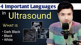 4 Important Language in Ultrasound by Dr Ali Waqar [upl. by Lilas]