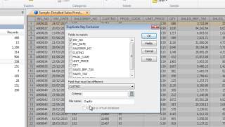 CaseWare IDEA TutorialsDuplicate Key Exclusion [upl. by Elhsa394]