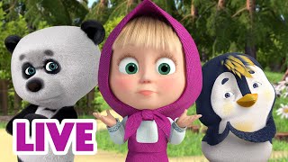 🔴 LIVE Masha dan Beruang 👧🐻 Simpati dan Antipati 🤩🐯 Kartun anakanak 🎬 Masha and the Bear [upl. by Alyl]