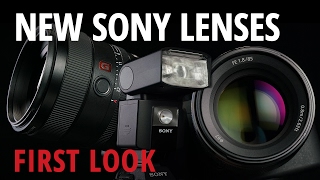 First Look Sony  FE 28100mm STF FE 1885mm and HVLF45RM Flash [upl. by Leafar]