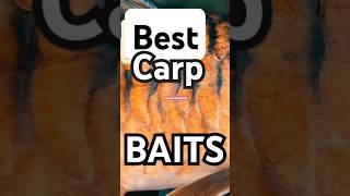 Best CARP Fishing Bait  Nutrition vs Natural carpbait carpfishing carpfishingsouthafrica [upl. by Katinka]