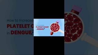 How to increase platelets in Dengue💊🏥shorts [upl. by Dyun722]