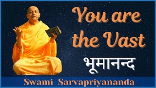 You Are The Vast  भूमानन्द  Swami Sarvapriyananda [upl. by Eilata208]