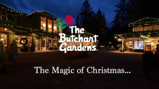 The Butchart Gardens Magic of Christmas [upl. by Anawd]