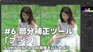 SILKYPIXでRAW現像をはじめよう 6 部分補正ツール 「ブラシ」 [upl. by Ebneter]