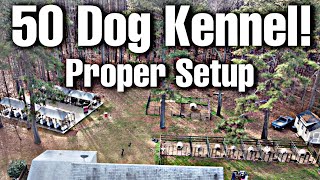 Proper kennel setup ideas [upl. by Ameen]