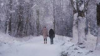 Flying over and walking in Canada ❄️🍁❄️ جولة جوية وأرضية في كندا في فصل الشتاء مع موسيقى جميلة [upl. by Haral146]