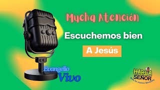 No entendemos las Palabras de Jesús [upl. by Goldy756]