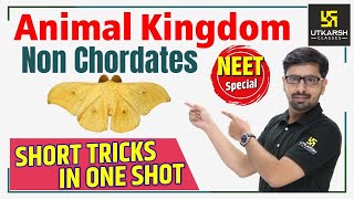 Animal Kingdom Non Chordates  Hindi Medium  Short Tricks  Biology  By Surendra Sir [upl. by Molini]