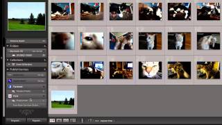 How to Export Lightroom to Flickr [upl. by Caves891]