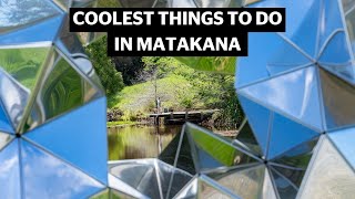 Best things to do in Matakana this summer [upl. by Bysshe]