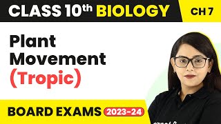 Plant Movement Tropic  Control and Coordination  Class 10 Biology [upl. by Seeto]