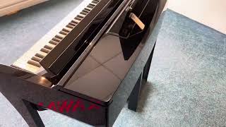 Used Yamaha CVP609 PE Digital Piano  Rimmers Music  Condition Walk Through With James [upl. by Ahsenak]