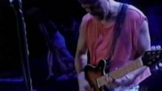 Van Halen  cant stop loving you live 1995 [upl. by Nosylla235]