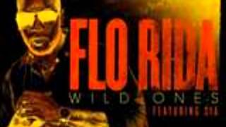 Flo Rida feat SIA Wild Ones Lyrics HD [upl. by Grobe]