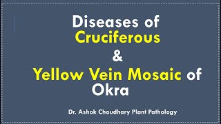 Diseases of Cruciferous and Yellow Vein Mosaic of Okra [upl. by Yhtac]