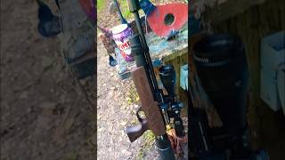 Kral np02 vs can shorts can subscribe airgun science nature gun [upl. by Llehsad]