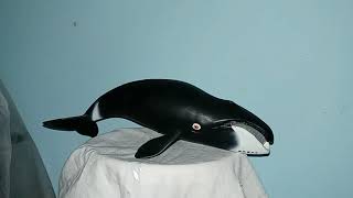 Bowhead Whale Toy Review [upl. by Aicad]