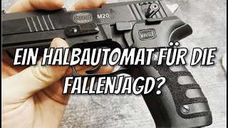 Mauser M20 22 LR HV Fangschuss Waffe für die Fallenjagd Kleinkaliber [upl. by Turner]