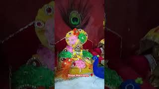 ❤️❤️❤️radhavallabh music song vrindavan yputubeshorts viralshorts laddu [upl. by Nosa]