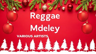 Reggae Medley  Various Artistskaraoke [upl. by Goodard91]