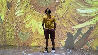 Immersive Van Gogh Exhibit in Toronto [upl. by Animar554]