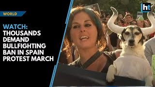 Thousands demand bullfighting ban in Spain protest march [upl. by Nyladnohr158]