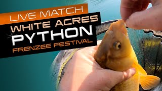 Live Match Fishing White Acres Frenzee Festival Python Lake [upl. by Hu]