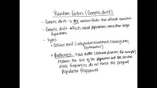 Genetic Drift Random Events [upl. by Airebma]